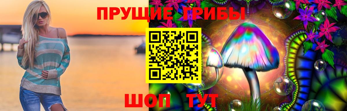 Псилоцибиновые грибы прущие грибы  Вход с VPN  купить наркоту  Новокуйбышевск 