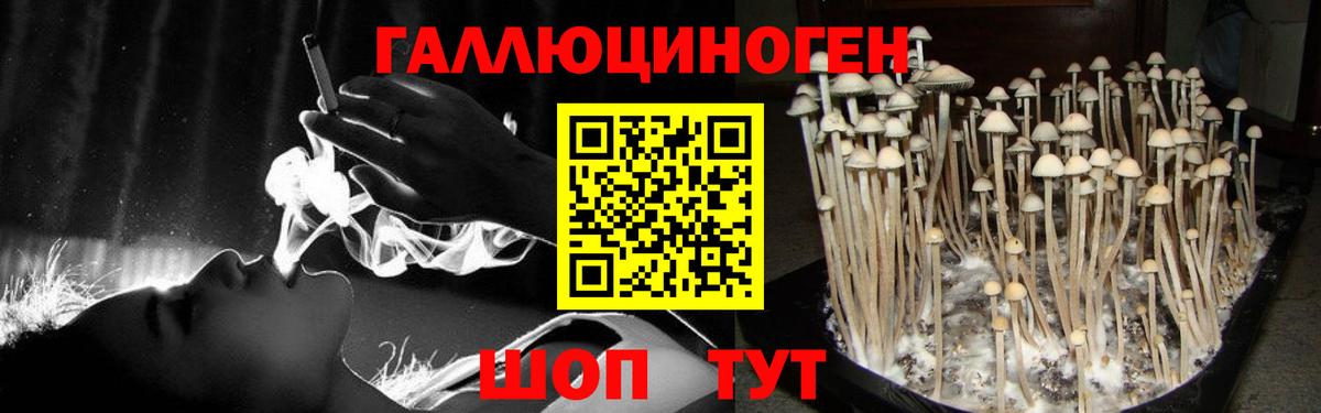 Псилоцибиновые грибы Cubensis Новокуйбышевск